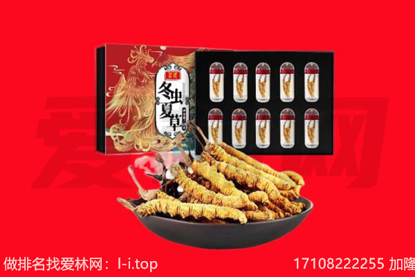 察隅虫草回收